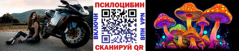 Псилоцибиновые грибы Magic Shrooms  Ильский 